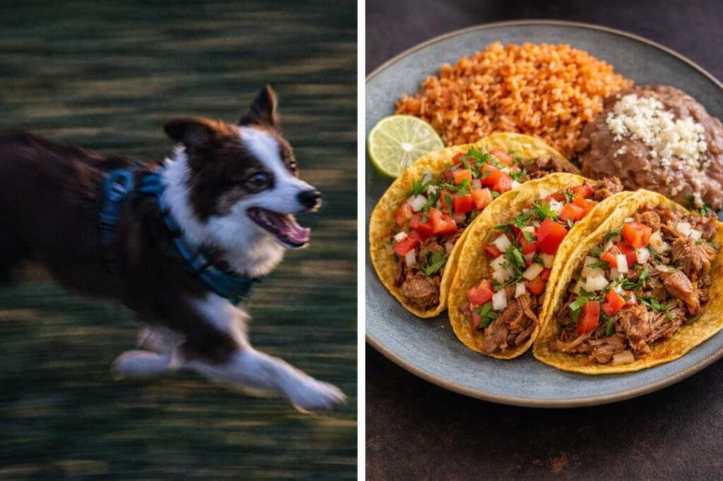 are google pixel phones good in usa 2026